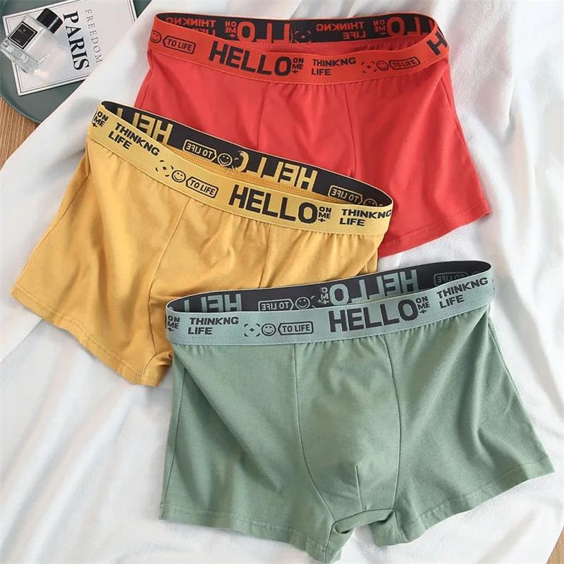 10 Stuks/Mannen Ondergoed Mann - Boxer Brief Pack Cotton recensie en prijs