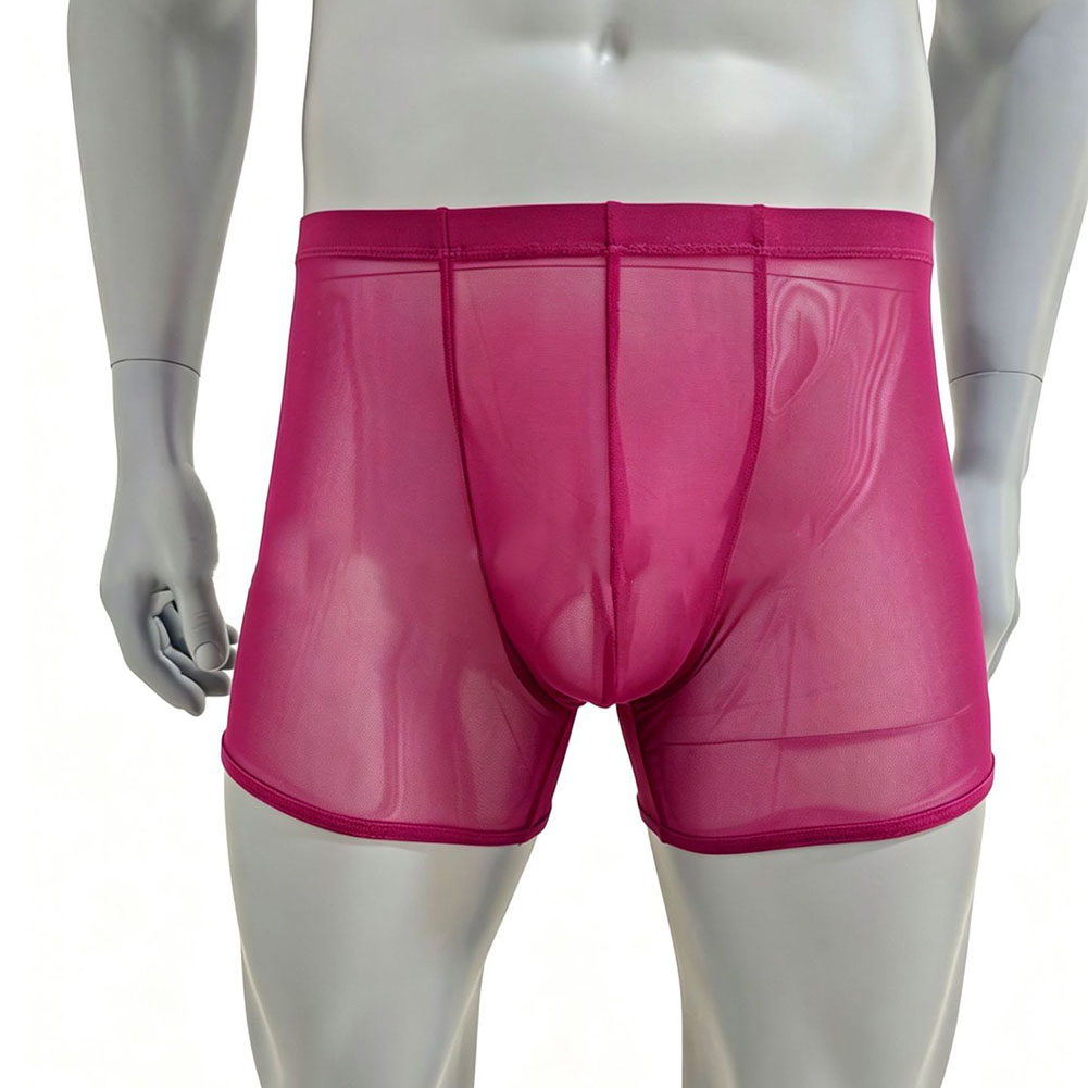 Heren Mesh Doorzichtige Ultrad - Long Leg Trunk Men recensie en prijs