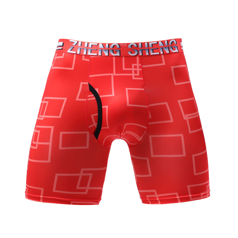 Heren Ondergoed Boxers Shorts  - Long Leg Trunk Men recensie en prijs
